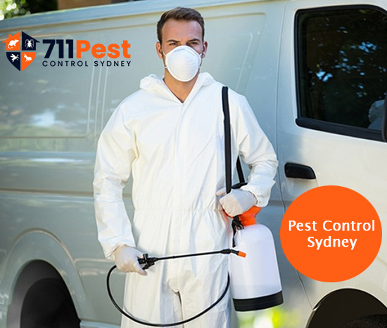 Pest Control Sydney Experts